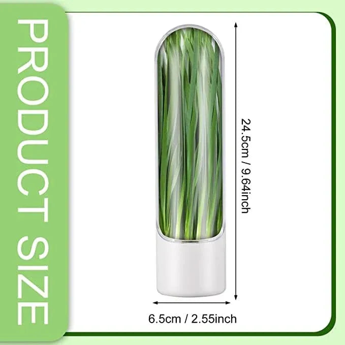 حافظة خضر وأعشاب طازجة مع خزان ماء - للحفاظ على النكهة لأيام أطول